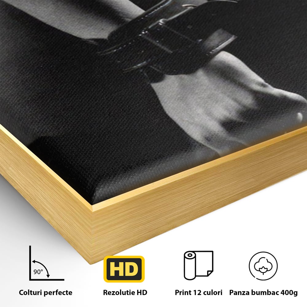 Detaliu al suprafetei: tablou canvas cu trup nud si catuse, in rama de aluminiu auriu